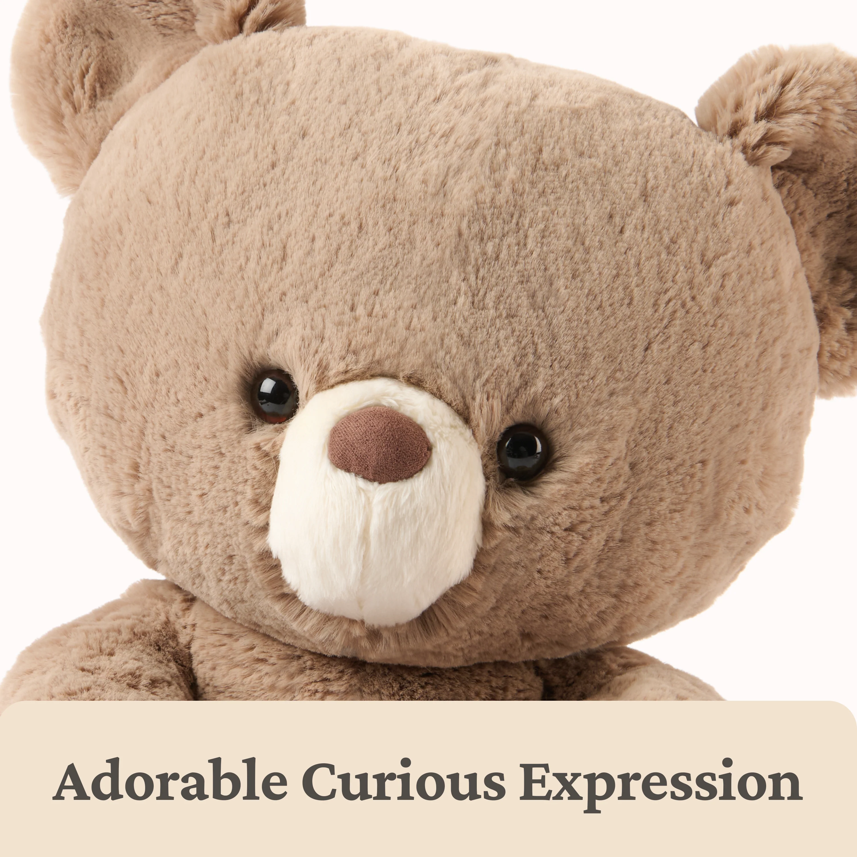 GUND Forever Friends Promise: Kai Bear - Image 6